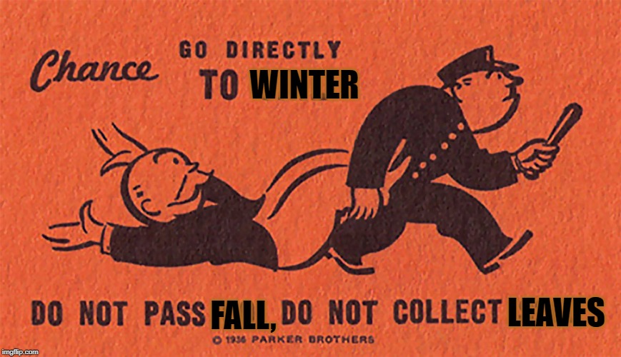 Monopoly | WINTER; FALL, LEAVES | image tagged in monopoly | made w/ Imgflip meme maker