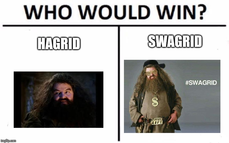 Who Would Win? Meme | SWAGRID; HAGRID | image tagged in memes,who would win | made w/ Imgflip meme maker