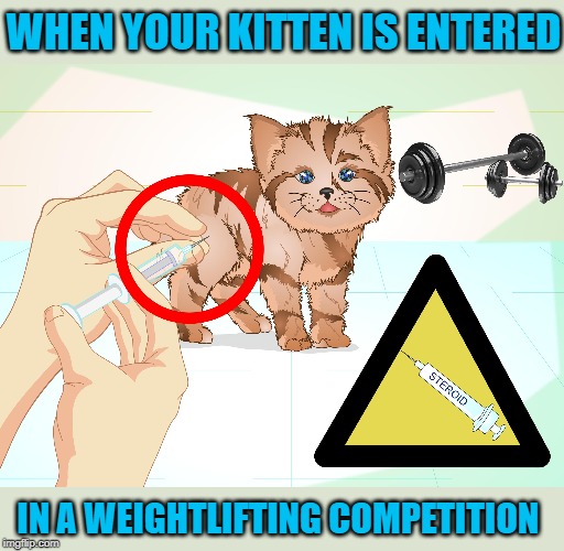 Power Kitten | WHEN YOUR KITTEN IS ENTERED; IN A WEIGHTLIFTING COMPETITION | image tagged in cat memes,kitten,weight lifting,memes,steroids | made w/ Imgflip meme maker