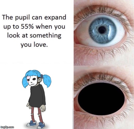 I love it | image tagged in pupil,memes | made w/ Imgflip meme maker