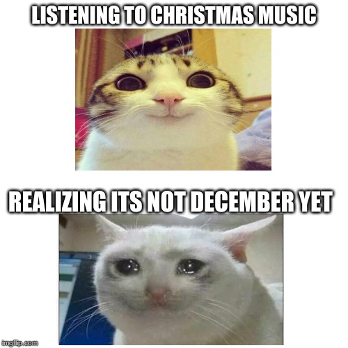 Blank Transparent Square Meme | LISTENING TO CHRISTMAS MUSIC; REALIZING ITS NOT DECEMBER YET | image tagged in memes,blank transparent square | made w/ Imgflip meme maker