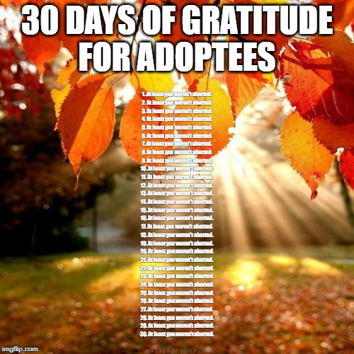 Fall leaves  | 30 DAYS OF GRATITUDE
FOR ADOPTEES; 1. At least you weren't aborted.
2. At least you weren't aborted.
3. At least you weren't aborted.
4. At least you weren't aborted.
5. At least you weren't aborted.
6. At least you weren't aborted.
7. At least you weren't aborted.
8. At least you weren't aborted.
9. At least you weren't aborted.
10. At least you weren't aborted.
11. At least you weren't aborted.
12. At least you weren't aborted.
13. At least you weren't aborted.
14. At least you weren't aborted.
15. At least you weren't aborted.
16. At least you weren't aborted.
17. At least you weren't aborted.
18. At least you weren't aborted.
19. At least you weren't aborted.
20. At least you weren't aborted.
21. At least you weren't aborted.
22. At least you weren't aborted.
23. At least you weren't aborted.
24. At least you weren't aborted.
25. At least you weren't aborted.
26. At least you weren't aborted.
27. At least you weren't aborted.
28. At least you weren't aborted.
29. At least you weren't aborted.
30. At least you weren't aborted. | image tagged in fall leaves | made w/ Imgflip meme maker