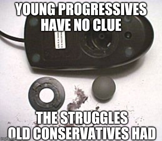 Dirty mouse ball | YOUNG PROGRESSIVES HAVE NO CLUE; THE STRUGGLES OLD CONSERVATIVES HAD | image tagged in mouse,ball | made w/ Imgflip meme maker