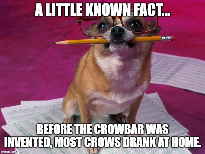 smart dog | A LITTLE KNOWN FACT... BEFORE THE CROWBAR WAS INVENTED, MOST CROWS DRANK AT HOME. | image tagged in smart dog | made w/ Imgflip meme maker