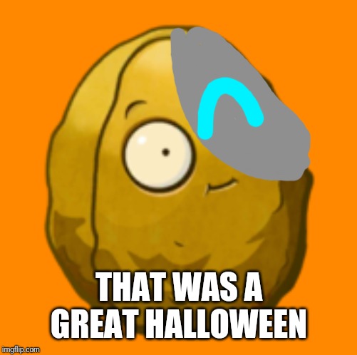 Wall-nut | THAT WAS A GREAT HALLOWEEN | image tagged in wall-nut | made w/ Imgflip meme maker