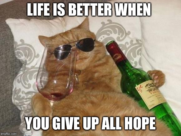 Funny Cat Birthday | LIFE IS BETTER WHEN; YOU GIVE UP ALL HOPE | image tagged in funny cat birthday | made w/ Imgflip meme maker