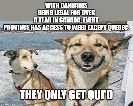 Original Stoner Dog | WITH CANNABIS BEING LEGAL FOR OVER A YEAR IN CANADA, EVERY PROVINCE HAS ACCESS TO WEED EXCEPT QUEBEC. THEY ONLY GET OUI'D | image tagged in memes,original stoner dog | made w/ Imgflip meme maker