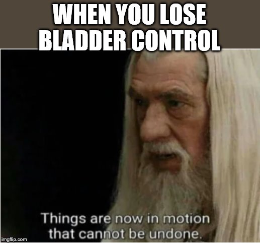 gandalf motion | WHEN YOU LOSE BLADDER CONTROL | image tagged in gandalf motion | made w/ Imgflip meme maker