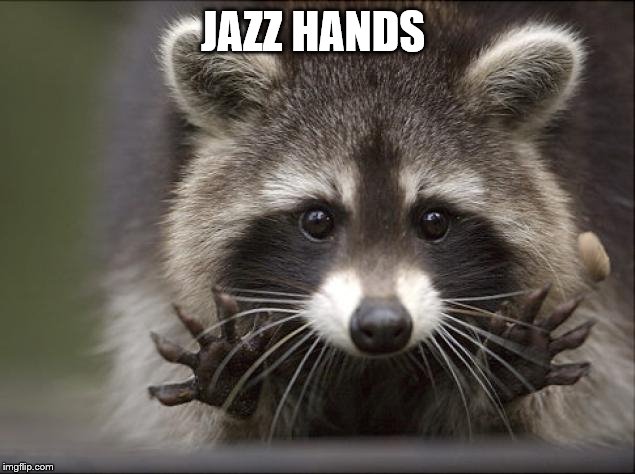 Jazz Hands Raccoon | JAZZ HANDS | image tagged in jazz hands raccoon | made w/ Imgflip meme maker