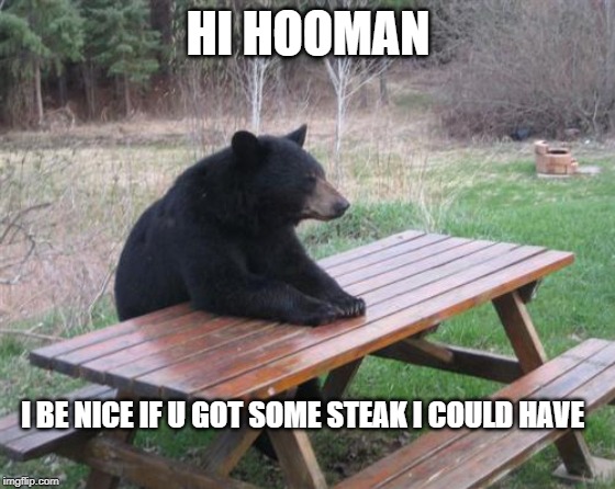 Bad Luck Bear | HI HOOMAN; I BE NICE IF U GOT SOME STEAK I COULD HAVE | image tagged in memes,bad luck bear | made w/ Imgflip meme maker