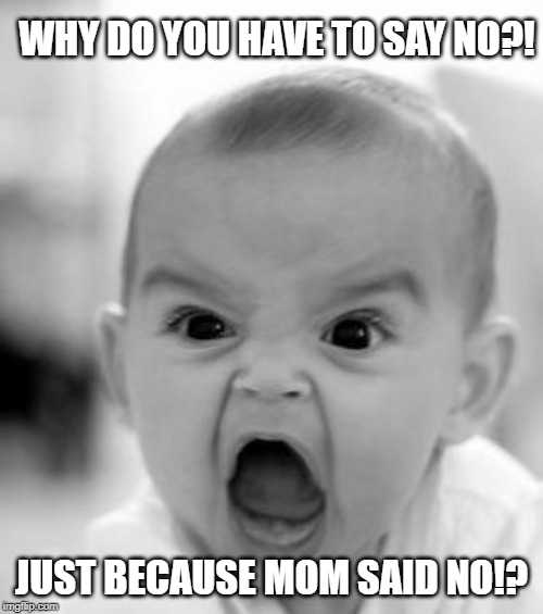 Angry Baby Meme | WHY DO YOU HAVE TO SAY NO?! JUST BECAUSE MOM SAID NO!? | image tagged in memes,angry baby | made w/ Imgflip meme maker