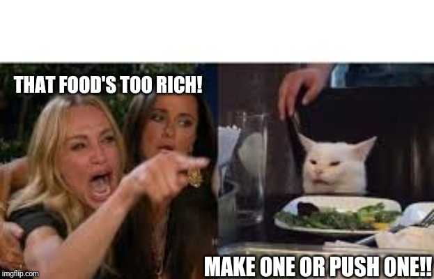 Lady pointing at cat | THAT FOOD'S TOO RICH! MAKE ONE OR PUSH ONE!! | image tagged in lady pointing at cat | made w/ Imgflip meme maker