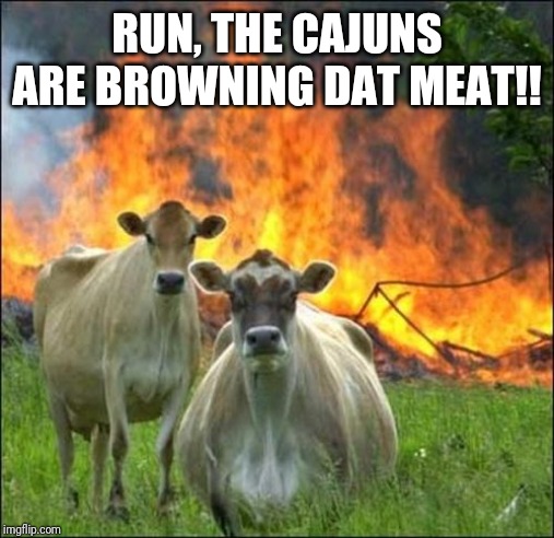 Evil Cows Meme | RUN, THE CAJUNS ARE BROWNING DAT MEAT!! | image tagged in memes,evil cows | made w/ Imgflip meme maker