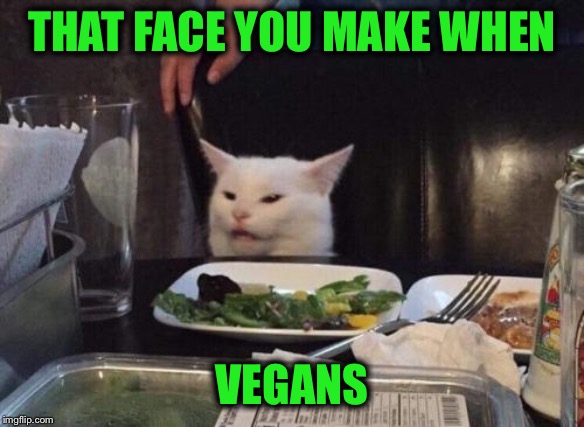 Salad cat | THAT FACE YOU MAKE WHEN; VEGANS | image tagged in salad cat,memes,funny,vegetarian,vegan | made w/ Imgflip meme maker