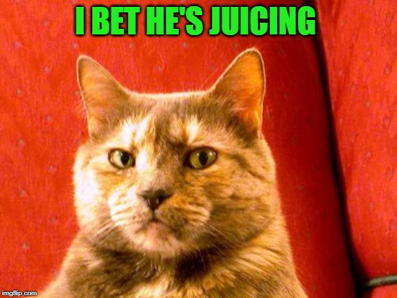 Suspicious Cat Meme | I BET HE'S JUICING | image tagged in memes,suspicious cat | made w/ Imgflip meme maker