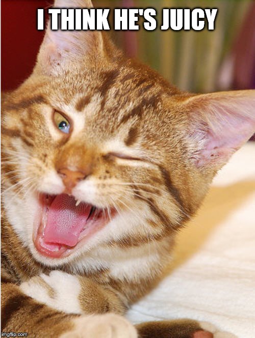 Winking Cat | I THINK HE'S JUICY | image tagged in winking cat | made w/ Imgflip meme maker