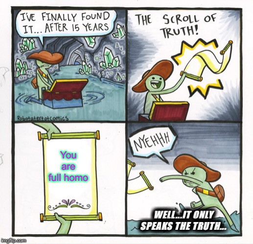 The Scroll Of Truth | You
are full homo; WELL...IT ONLY SPEAKS THE TRUTH... | image tagged in memes,the scroll of truth | made w/ Imgflip meme maker