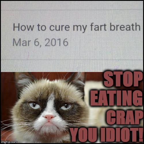 FART BREATH | STOP EATING; CRAP YOU IDIOT! | image tagged in fart breath | made w/ Imgflip meme maker
