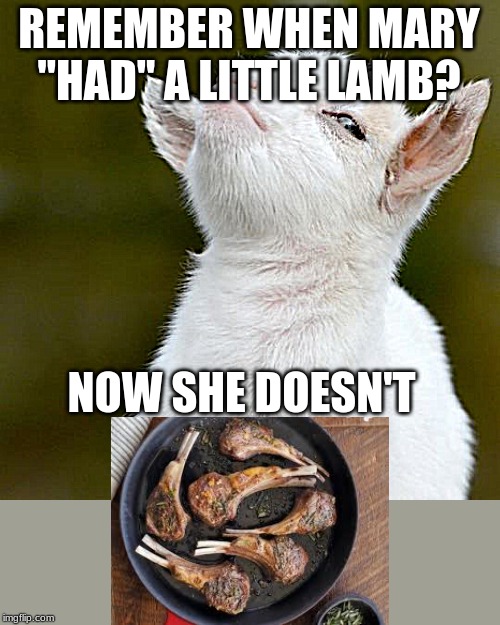 REMEMBER WHEN MARY "HAD" A LITTLE LAMB? NOW SHE DOESN'T | image tagged in suspicious lamb | made w/ Imgflip meme maker