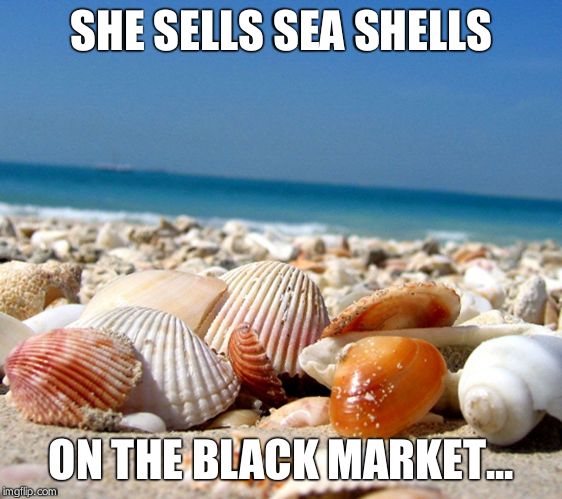 Sea shells | SHE SELLS SEA SHELLS; ON THE BLACK MARKET... | image tagged in sea shells | made w/ Imgflip meme maker