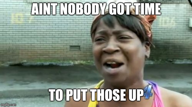 AINT NOBODY GOT TIME TO PUT THOSE UP | image tagged in memes,aint nobody got time for that | made w/ Imgflip meme maker
