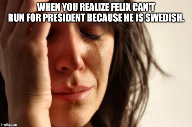 First World Problems | WHEN YOU REALIZE FELIX CAN'T RUN FOR PRESIDENT BECAUSE HE IS SWEDISH. | image tagged in memes,first world problems | made w/ Imgflip meme maker
