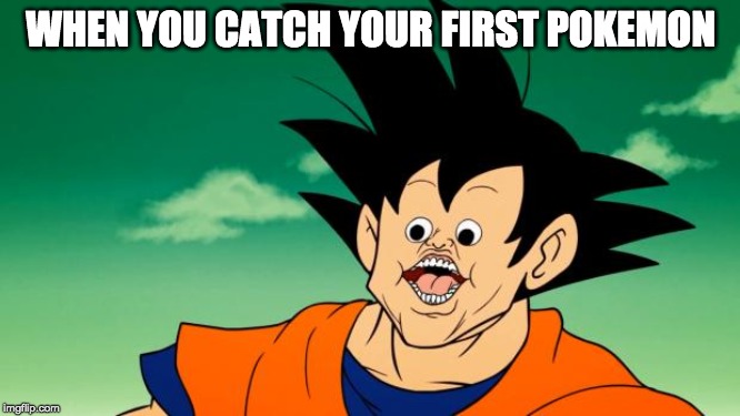 Derpy Interest Goku | WHEN YOU CATCH YOUR FIRST POKEMON | image tagged in derpy interest goku | made w/ Imgflip meme maker