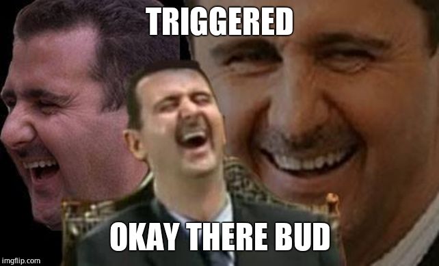 Assad laugh | TRIGGERED OKAY THERE BUD | image tagged in assad laugh | made w/ Imgflip meme maker