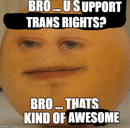 trans rights | UPPORT; TRANS RIGHTS? AWESOME | image tagged in trans rights,transgender | made w/ Imgflip meme maker