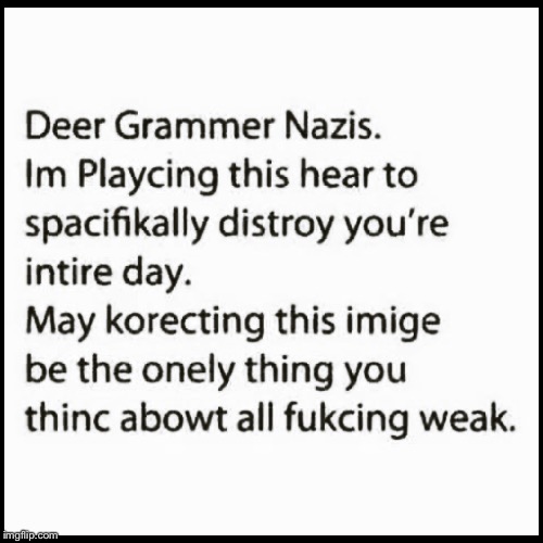 image tagged in grammar nazi,grammar,spelling,funny,education,annoying | made w/ Imgflip meme maker