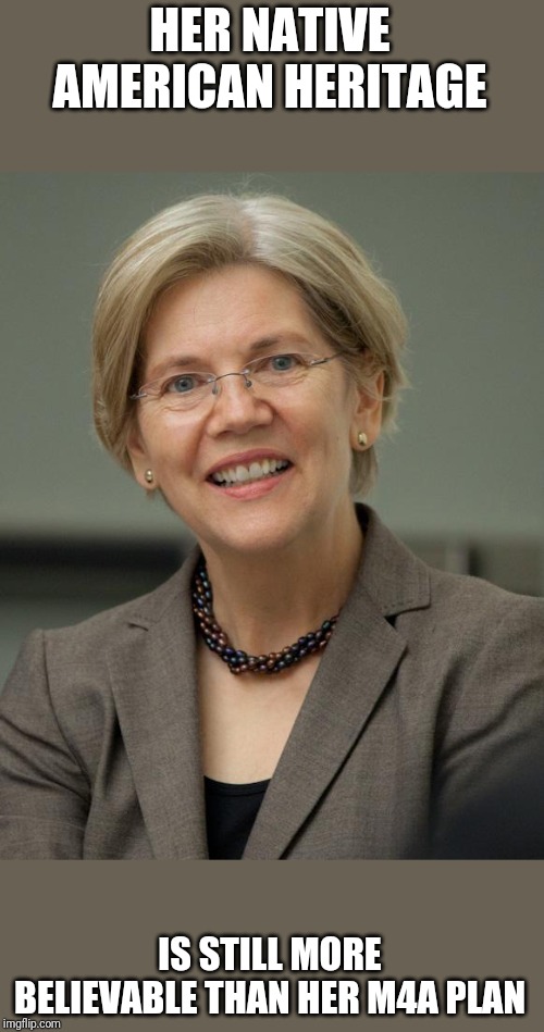 Elizabeth Warren | HER NATIVE AMERICAN HERITAGE; IS STILL MORE BELIEVABLE THAN HER M4A PLAN | image tagged in elizabeth warren | made w/ Imgflip meme maker