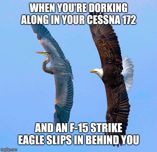 WHEN YOU'RE DORKING ALONG IN YOUR CESSNA 172; AND AN F-15 STRIKE EAGLE SLIPS IN BEHIND YOU | image tagged in eagle,f-15,jet | made w/ Imgflip meme maker