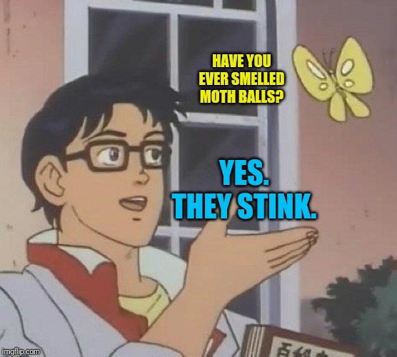 Don't talk to animals | HAVE YOU EVER SMELLED MOTH BALLS? YES. THEY STINK. | image tagged in memes,is this a pigeon | made w/ Imgflip meme maker