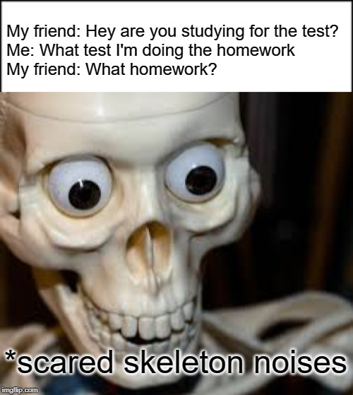 That moment when | My friend: Hey are you studying for the test?
Me: What test I'm doing the homework
My friend: What homework? *scared skeleton noises | image tagged in spoopy,homework,test,studying,skeleton | made w/ Imgflip meme maker
