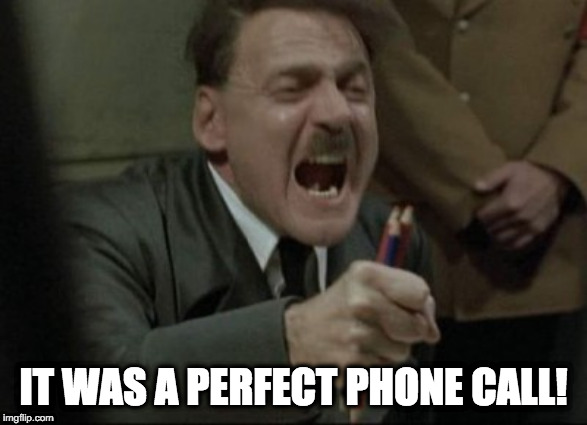 Hitler Downfall | IT WAS A PERFECT PHONE CALL! | image tagged in hitler downfall | made w/ Imgflip meme maker