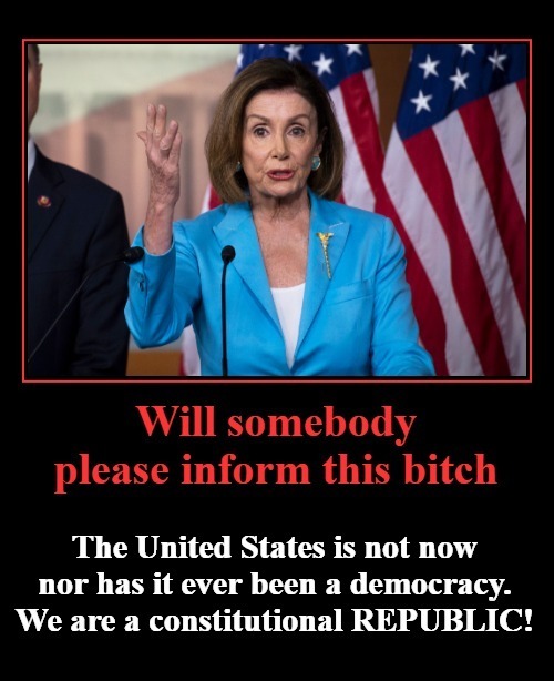 Will somebody please inform this bitch | image tagged in republic,democracy,nancy pelosi is crazy,nancy pelosi mentally ill,sedition,treason | made w/ Imgflip meme maker