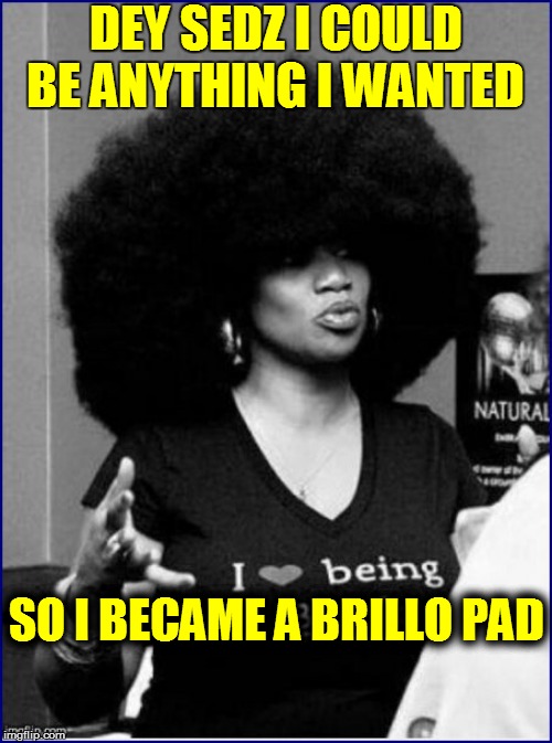 DEY SEDZ I COULD BE ANYTHING I WANTED SO I BECAME A BRILLO PAD | made w/ Imgflip meme maker