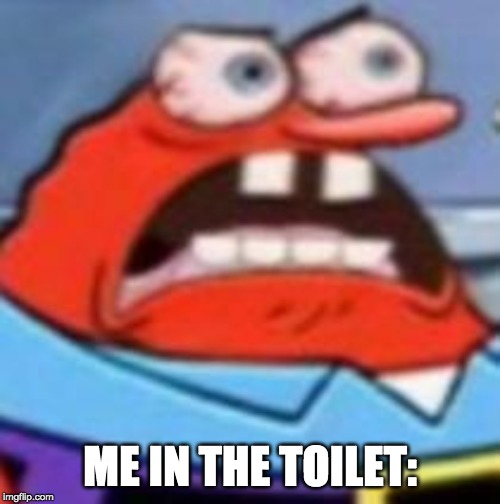 Mr.krob | ME IN THE TOILET: | image tagged in mr krabs | made w/ Imgflip meme maker