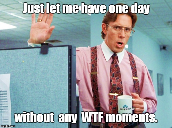Just let me have one day; without  any  WTF moments. | image tagged in funny | made w/ Imgflip meme maker