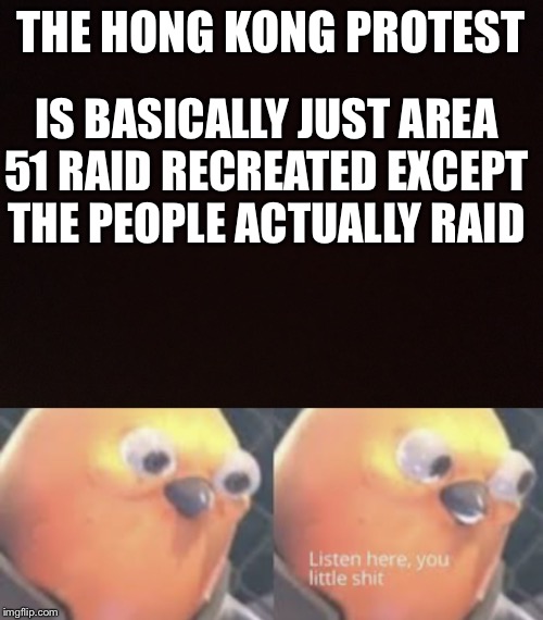 THE HONG KONG PROTEST; IS BASICALLY JUST AREA 51 RAID RECREATED EXCEPT THE PEOPLE ACTUALLY RAID | image tagged in listen here you little shit bird | made w/ Imgflip meme maker
