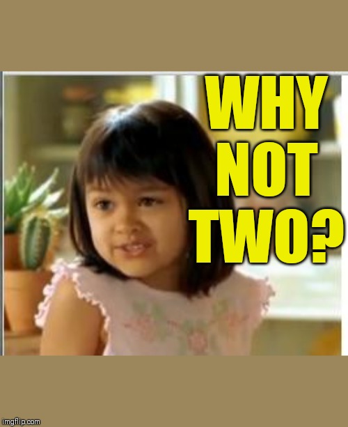 Why not both | WHY NOT TWO? | image tagged in why not both | made w/ Imgflip meme maker