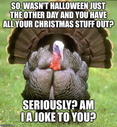 Turkey | SO, WASN'T HALLOWEEN JUST THE OTHER DAY AND YOU HAVE ALL YOUR CHRISTMAS STUFF OUT? SERIOUSLY? AM I A JOKE TO YOU? | image tagged in memes,turkey | made w/ Imgflip meme maker