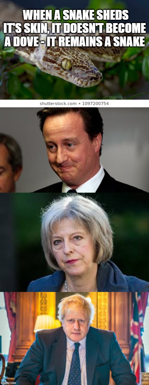 Changing Party Leader | WHEN A SNAKE SHEDS IT'S SKIN, IT DOESN'T BECOME A DOVE - IT REMAINS A SNAKE | image tagged in snake,snake shedding skin,david cameron,theresa may,boris johnson,tory leader | made w/ Imgflip meme maker