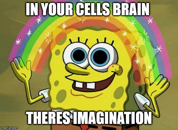 Imagination Spongebob Meme | IN YOUR CELLS BRAIN; THERES IMAGINATION | image tagged in memes,imagination spongebob | made w/ Imgflip meme maker