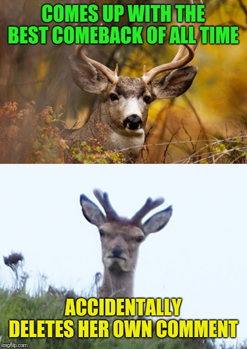 Roast td weekend 11/2 & 11/3, of course we know she only does that to others, not herself :) | COMES UP WITH THE BEST COMEBACK OF ALL TIME; ACCIDENTALLY DELETES HER OWN COMMENT | image tagged in deer meme,furious deer,timiddeer,roast | made w/ Imgflip meme maker