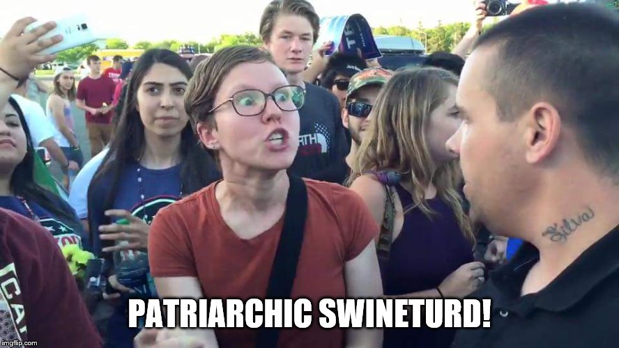 Triggered Feminazi | PATRIARCHIC SWINETURD! | image tagged in triggered feminazi | made w/ Imgflip meme maker