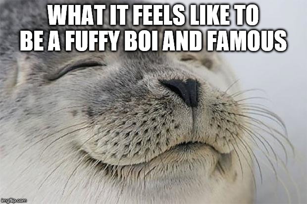 Satisfied dank meme | WHAT IT FEELS LIKE TO BE A FUFFY BOI AND FAMOUS | image tagged in satisfied dank meme | made w/ Imgflip meme maker