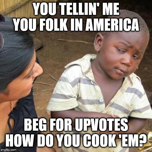 Third World Skeptical Kid | YOU TELLIN' ME YOU FOLK IN AMERICA; BEG FOR UPVOTES
HOW DO YOU COOK 'EM? | image tagged in memes,third world skeptical kid,funny memes | made w/ Imgflip meme maker