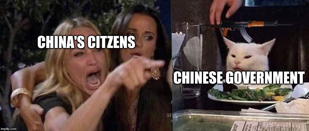 woman yelling at cat | CHINA'S CITZENS; CHINESE GOVERNMENT | image tagged in woman yelling at cat | made w/ Imgflip meme maker