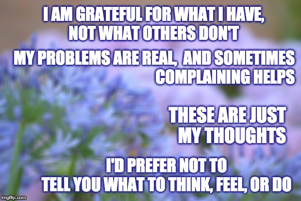 FLOWERS | I AM GRATEFUL FOR WHAT I HAVE,
 NOT WHAT OTHERS DON'T; MY PROBLEMS ARE REAL,  AND SOMETIMES
COMPLAINING HELPS; THESE ARE JUST
 MY THOUGHTS; I'D PREFER NOT TO
TELL YOU WHAT TO THINK, FEEL, OR DO | image tagged in flowers | made w/ Imgflip meme maker